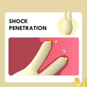 import placeholder for 12993408