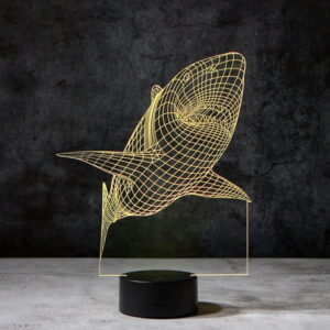 import placeholder for 12987169