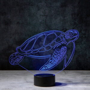 import placeholder for 12987055